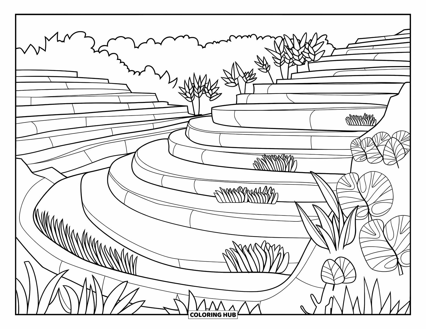 Landscape Coloring Page for Kids: Rice terraces and plants create a cozy hillside pattern