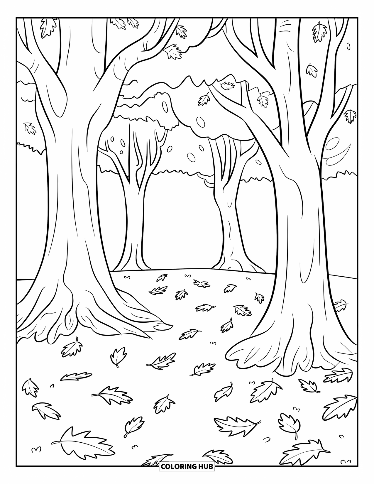 Landscape Coloring Page for Kids: Round trees stand tall above a leafy forest floor