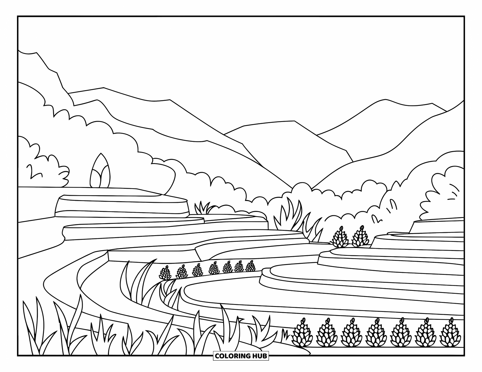 Landscape Coloring Page for Kids: Simple steps and terraces shape a calm rice farm scene