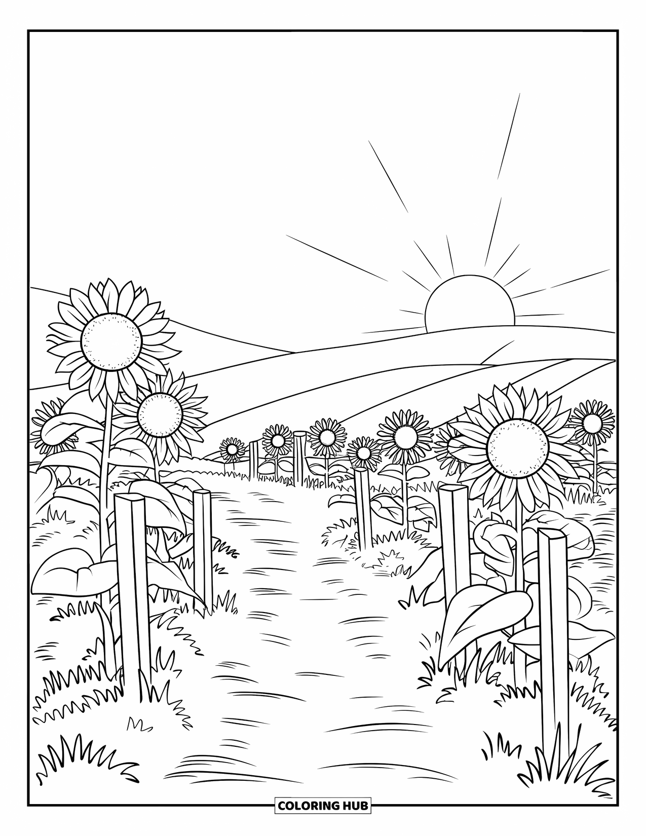 Landscape Coloring Page for Kids: Sunflowers stretch toward the sun along a warm evening trail