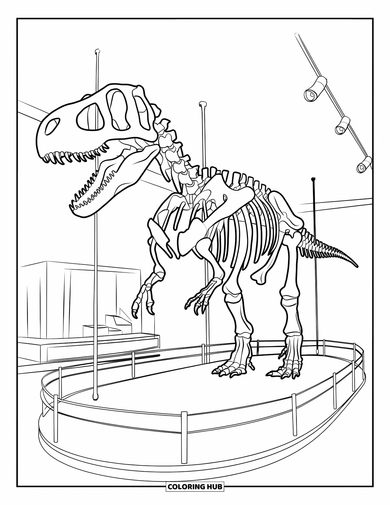Letter D Coloring Page for Kids: A towering dinosaur skeleton stands tall inside a museum exhibit