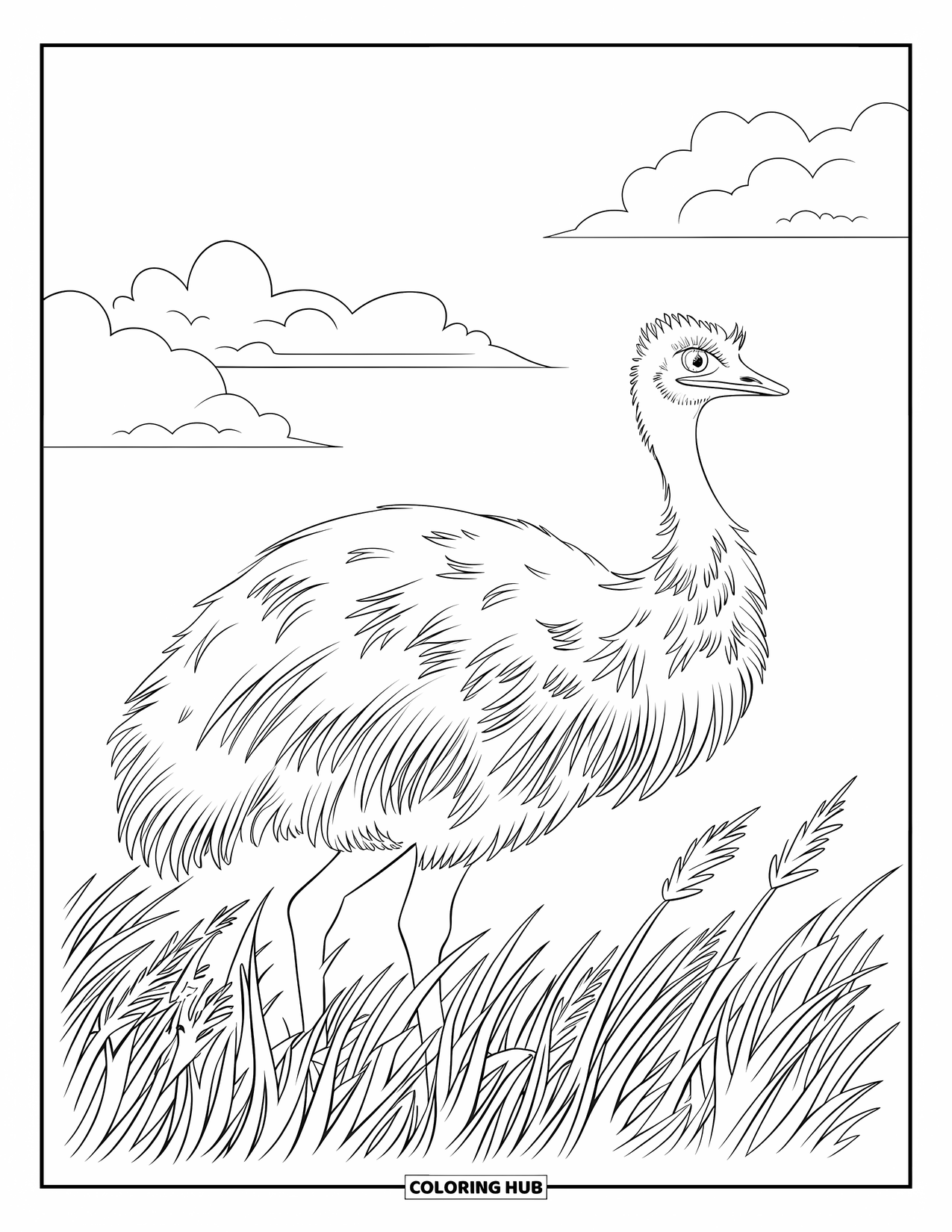 Letter E Coloring Page for Kids: A calm emu walks through tall grass under a sky filled with fluffy clouds