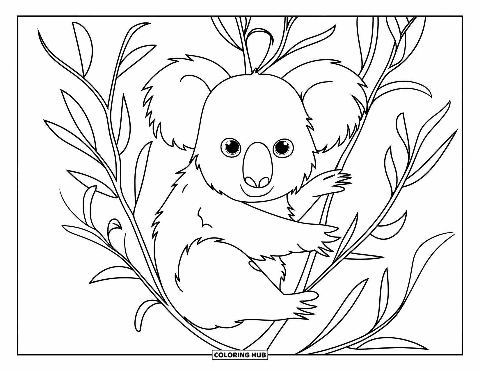 Letter E Coloring Page for Kids: A koala snoozes on a eucalyptus tree branch surrounded by soft, flowing leaves