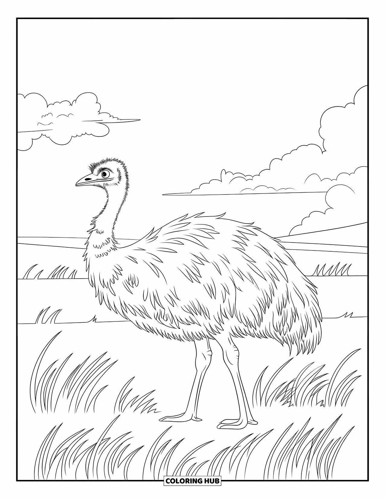 Letter E Coloring Page for Kids: An emu strolls through a windy field with soft grass and gentle clouds