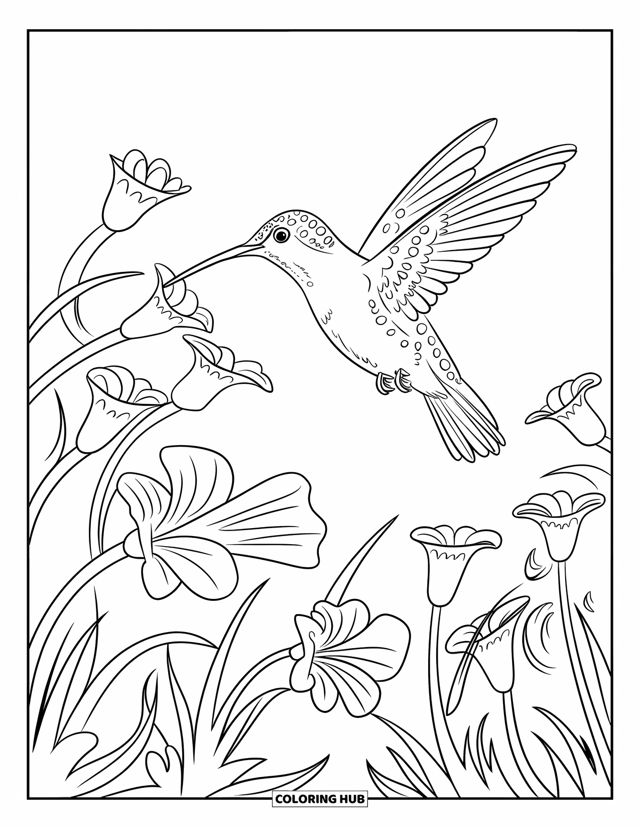 Letter H Coloring Page for Kids: A hummingbird drinks nectar mid-air from bright trumpet-shaped flowers