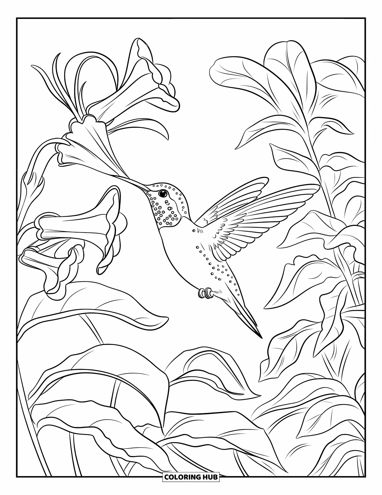 Letter H Coloring Page for Kids: A hummingbird sips nectar in a colorful garden filled with trumpet flowers