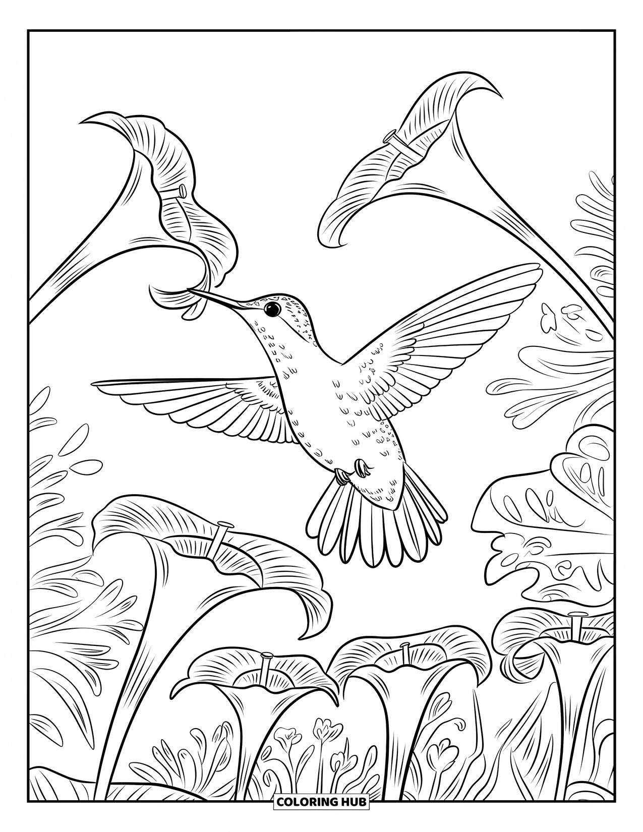 Letter H Coloring Page for Kids: Wings spread wide, a hummingbird feeds on blossoms in a flower-filled garden