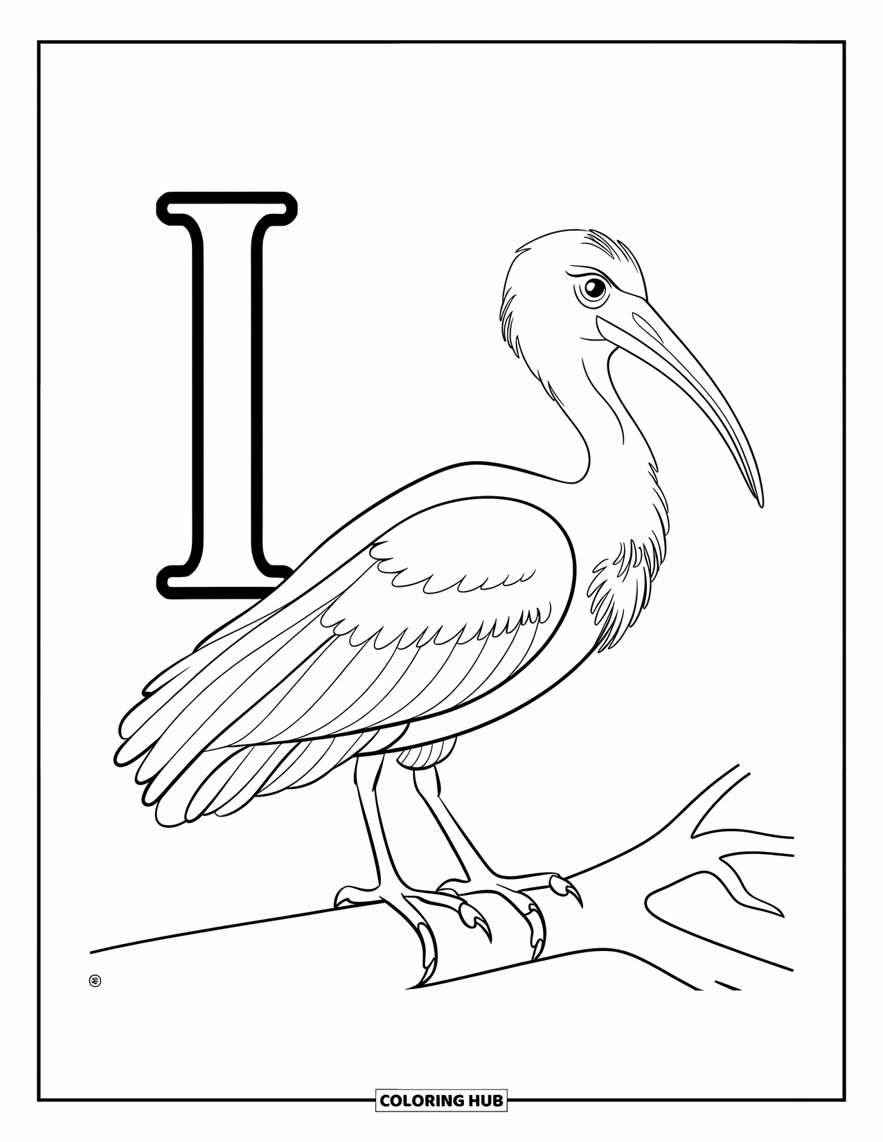 Letter I Coloring Page for Kids: A proud ibis stands beside the letter I with wings slightly spread