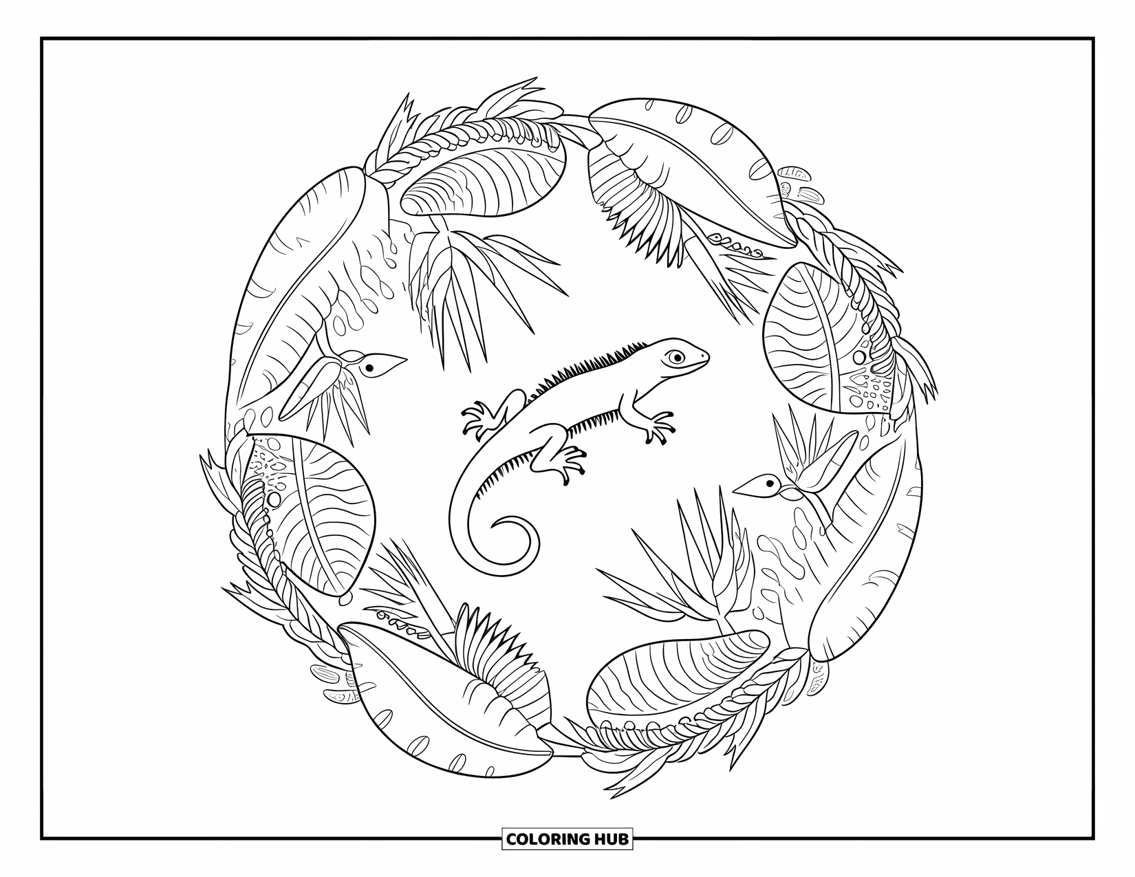 Lizard Coloring Page for Adults: A central lizard is surrounded by rainforest plants and birds of paradise