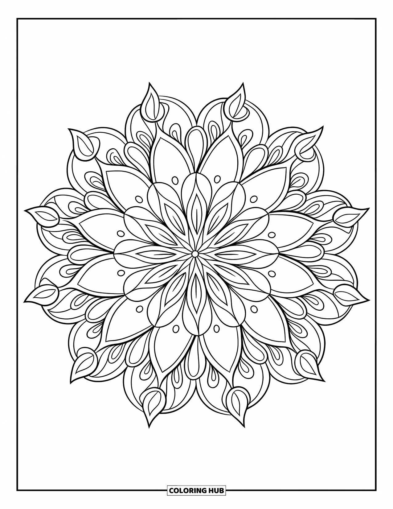 Kolorowanka Mandala dla dorosłych: Szczegółowa mandala z płatkami, filigranowymi lokami i okrągłymi pasmami