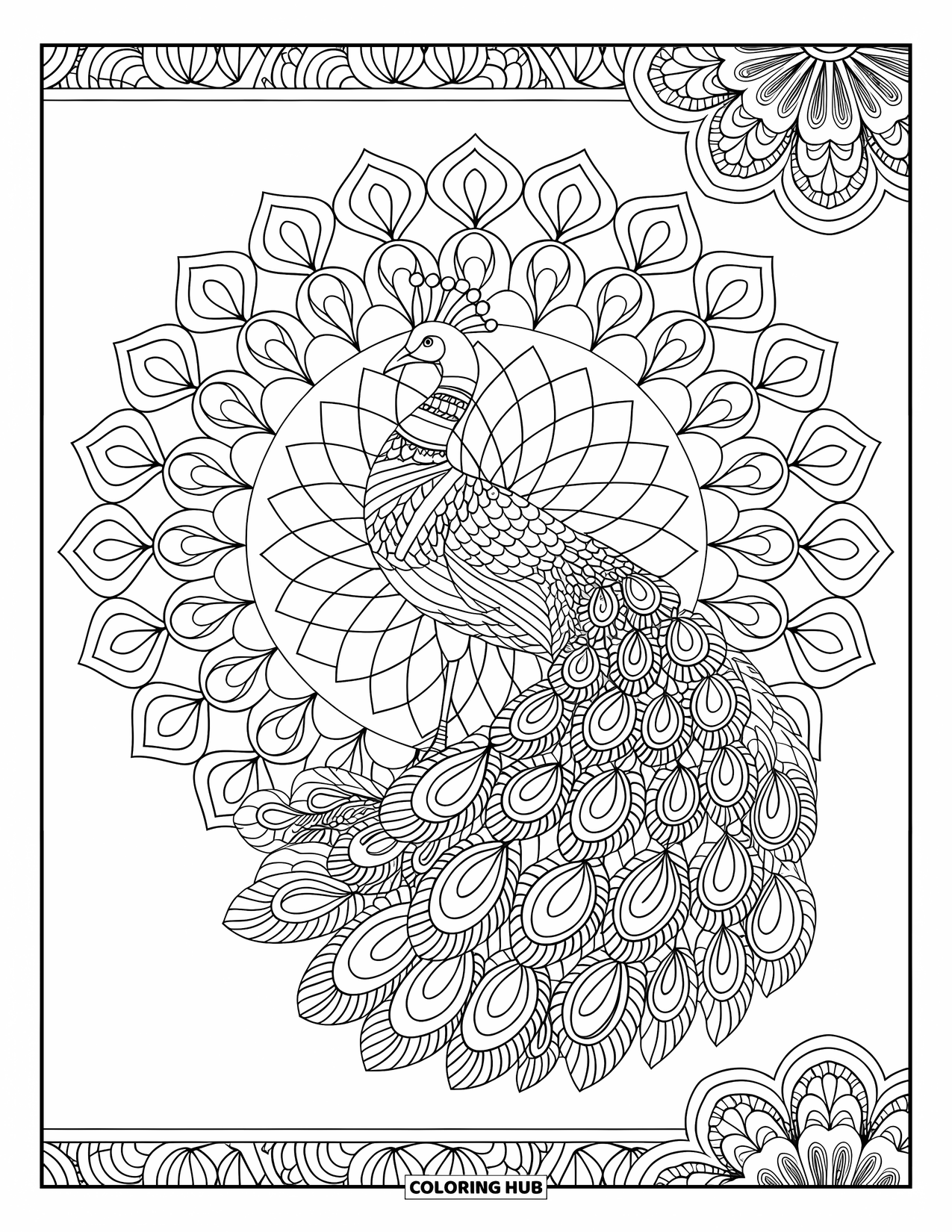 Kolorowanka Mandala dla dorosłych: Elegancka mandala z pawiem z warstwowymi kwiatowymi wzorami i obwódkami