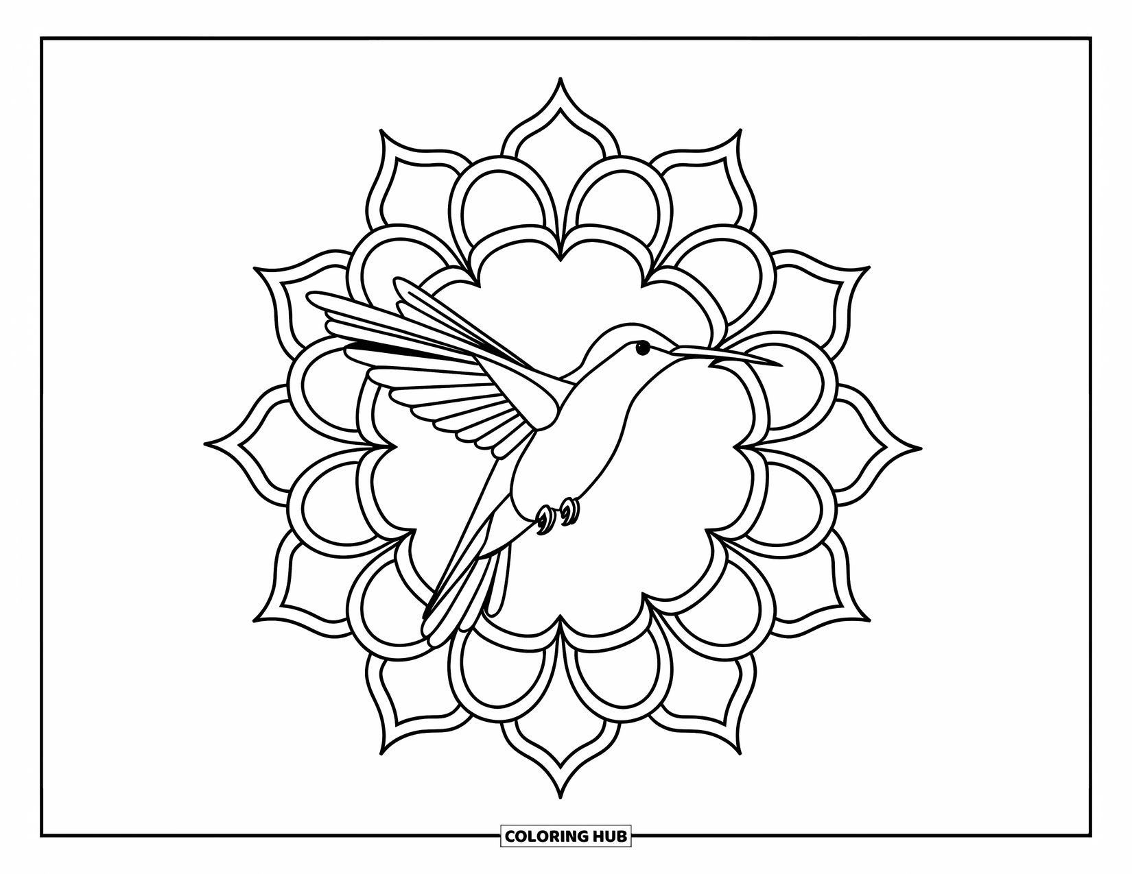 Kolorowanka Mandala dla dorosłych: Pełen wdzięku koliber latający przez kwiatową scenę mandali
