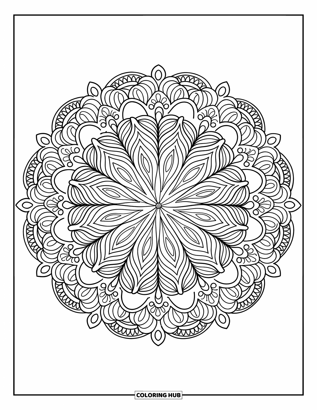 Kolorowanka Mandala dla dorosłych: Mandala z motywami paisley i liści ułożonymi w szczegółowy okrągły wzór