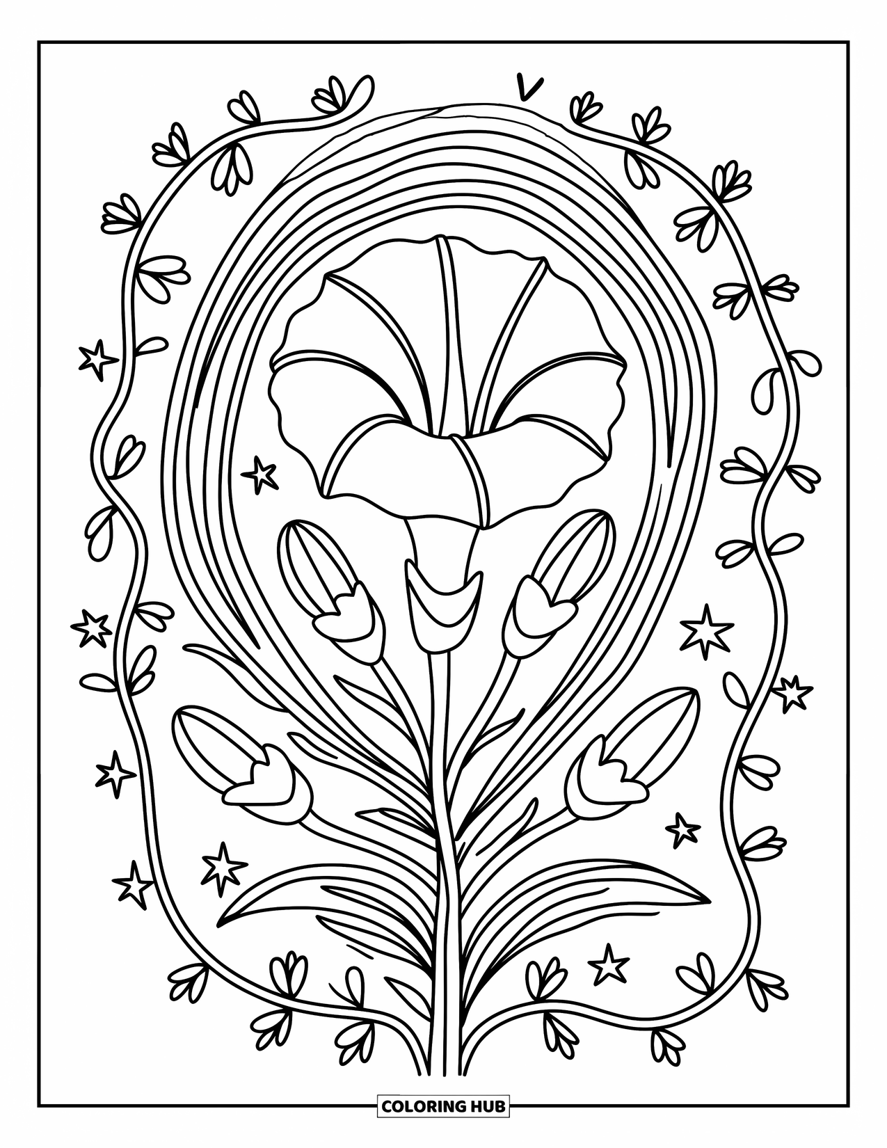 Kolorowanka Mandala dla dorosłych: Powój z pętlami, pnączami i małymi kwiatami w kształcie gwiazd w miękkich okręgach