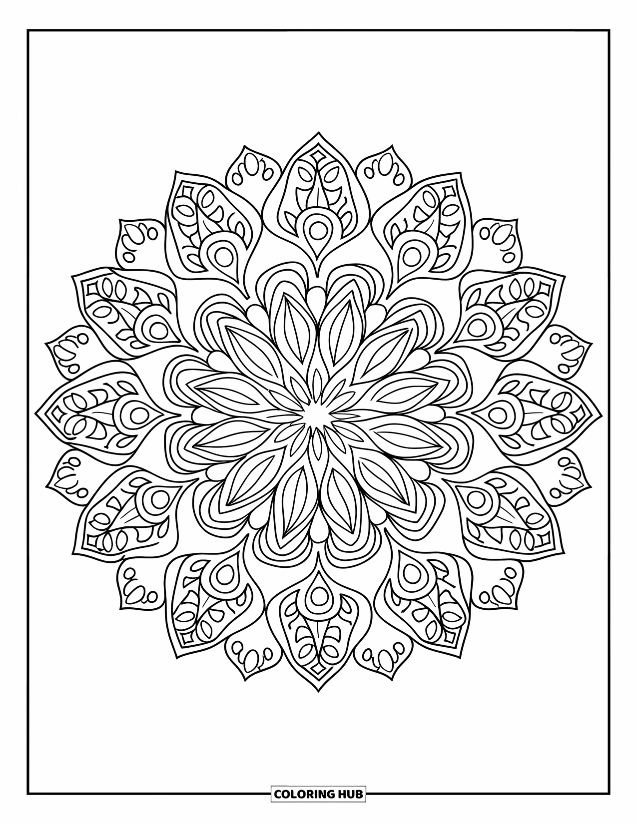 Kolorowanka Mandala dla dorosłych: Promienista mandala z paisley, łezkami i kształtami liści w dekoracyjnym pierścieniu