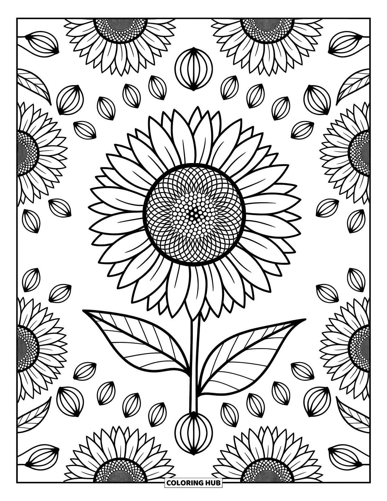 Kolorowanka Mandala dla dorosłych: Mandala słonecznika ze spiczastymi liśćmi, nasionami i miękkimi, zakrzywionymi płatkami