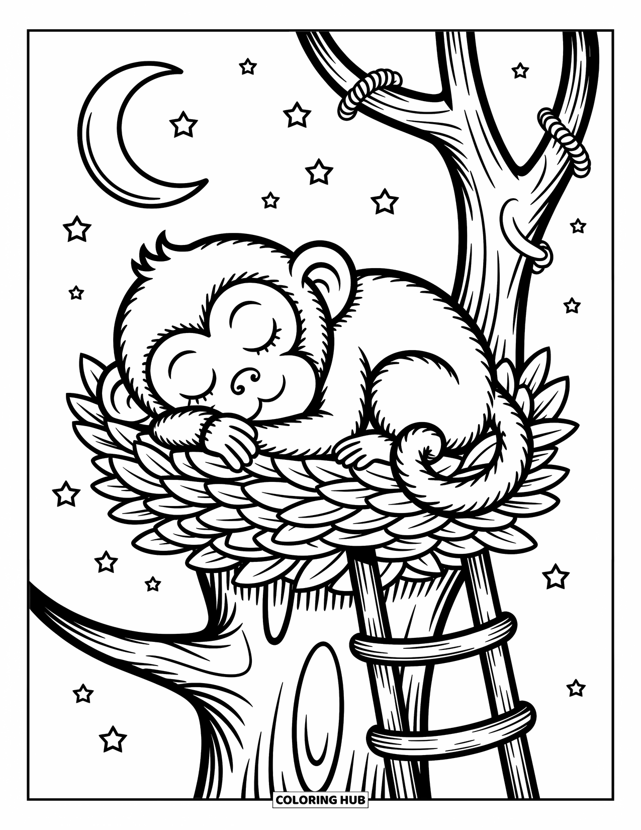 Affen Ausmalbild für Erwachsene: Ein schläfriger Affe rollt sich in einem grünen Nest unter einem sternenklaren Nachthimmel zusammen
