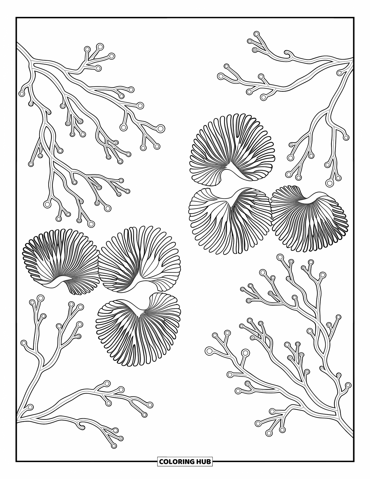 Coloriage Océan pour adultes : Deux scènes de corail en miroir se rencontrent au milieu, entourées de détails doux et tourbillonnants