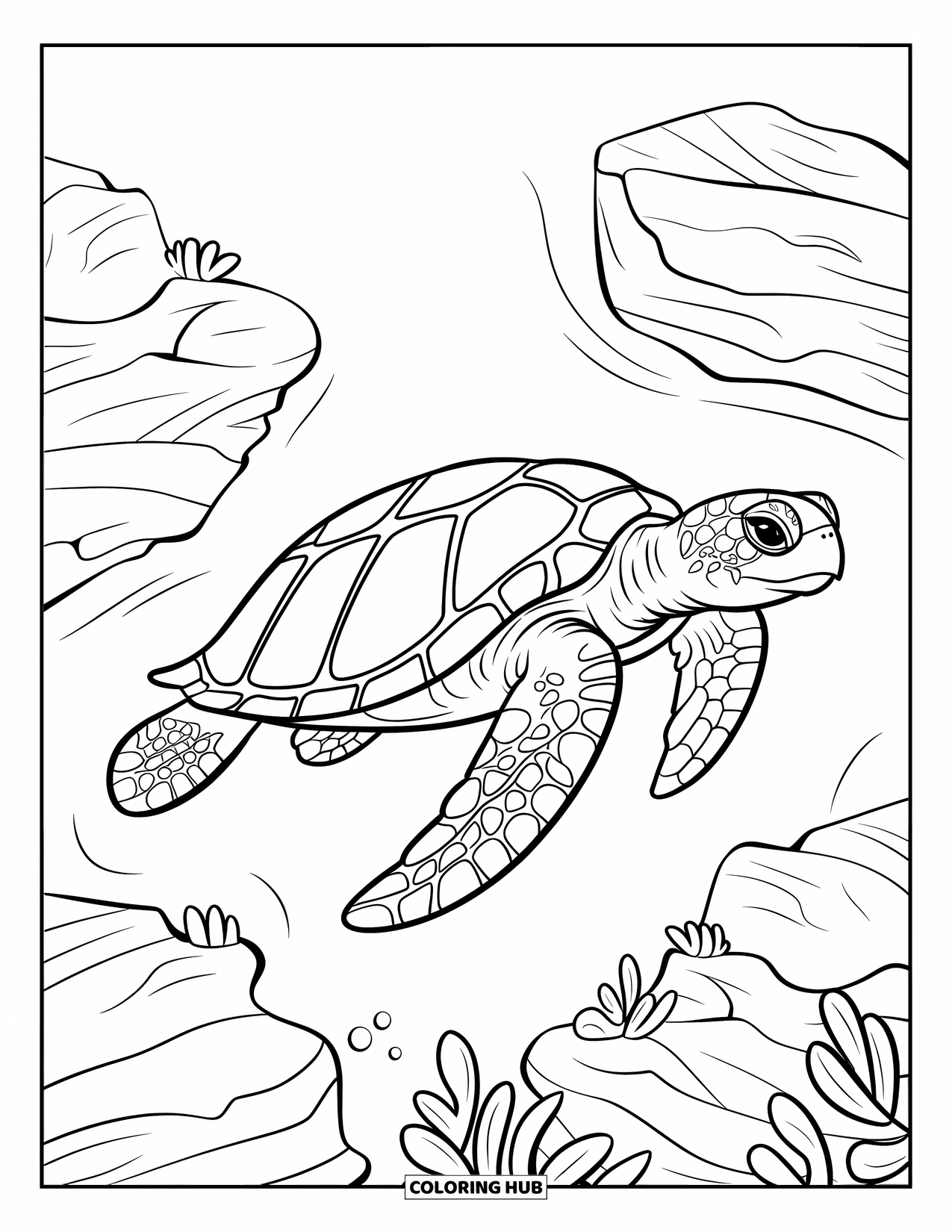 Coloriage Océan pour enfants : Une tortue calme dérive dans une eau tranquille près de plantes arrondies et de parcelles rocheuses