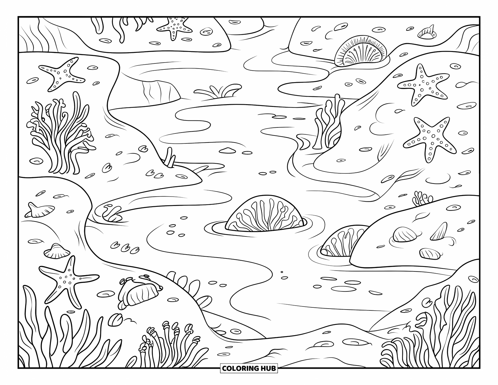 Coloriage Océan pour enfants : Une mare à marée remplie de créatures marines repose parmi des roches et des algues qui se balancent