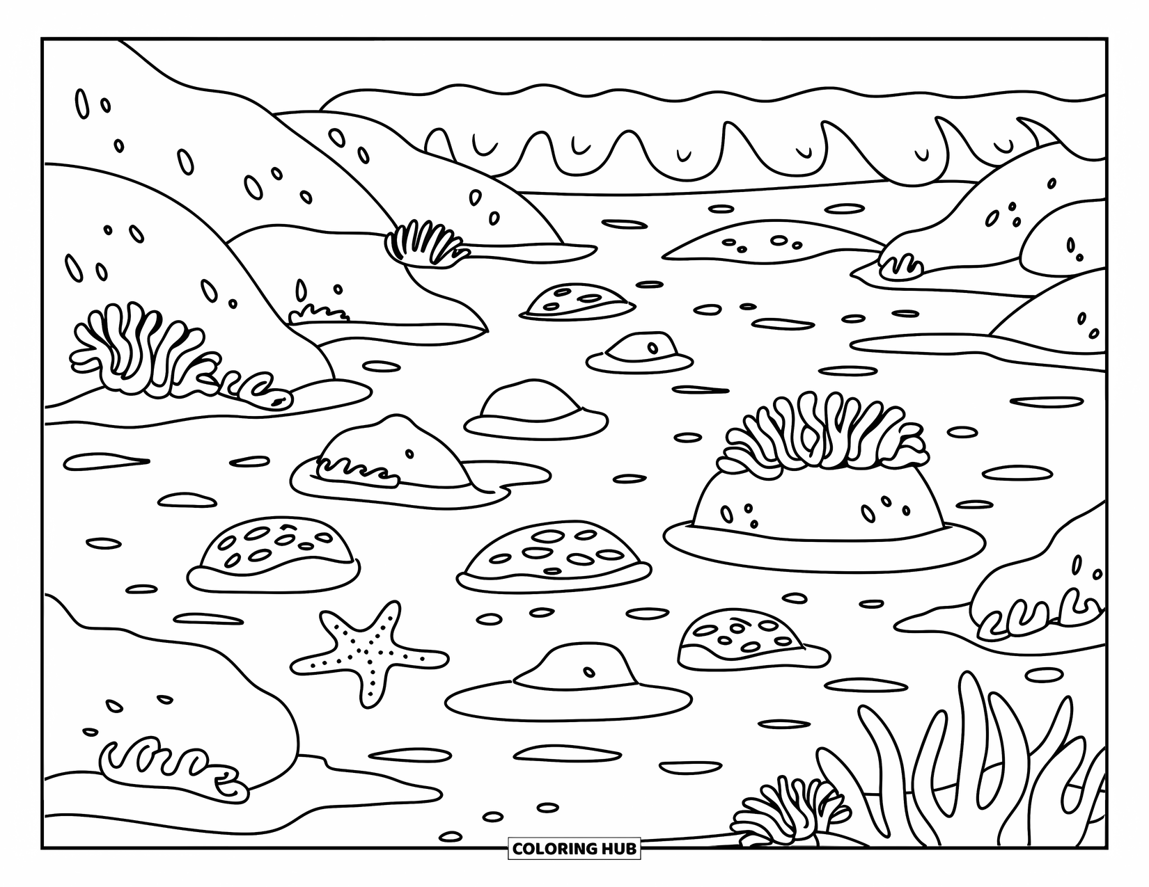 Coloriage Océan pour enfants : Une mare à marée avec des roches, des algues et une douce vague contient des étoiles de mer et la vie marine