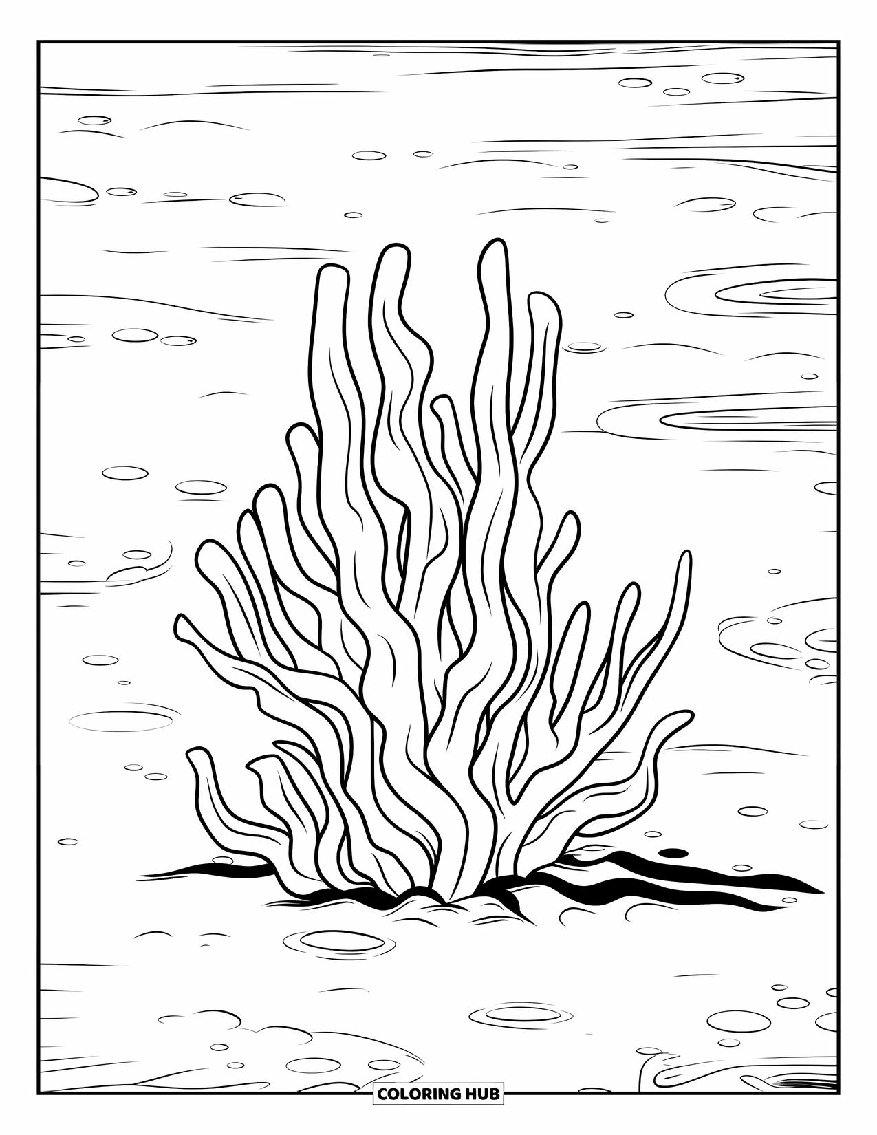Coloriage Océan pour enfants : De longs brins d’algues se balancent au-dessus d’un sol sablonneux avec de douces indentations en dessous