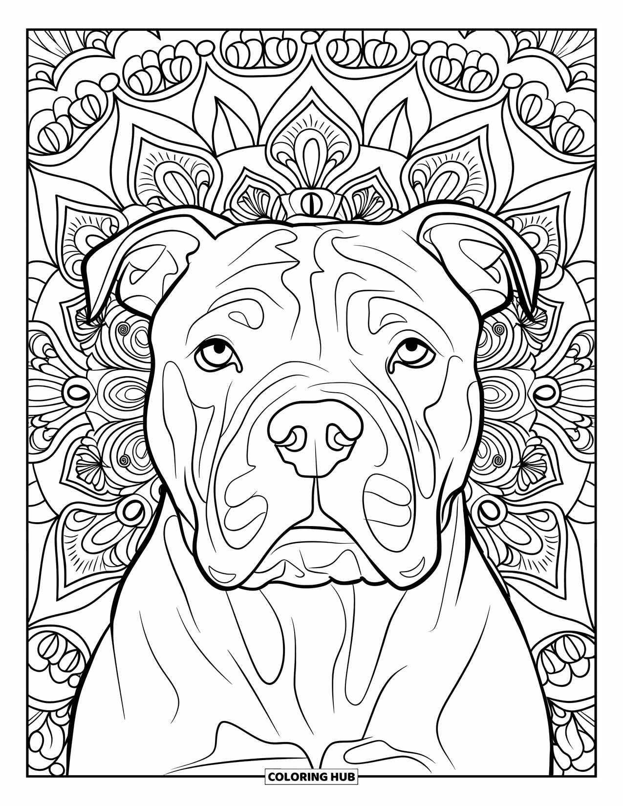 Pitbull Ausmalbild für Erwachsene: Nahaufnahme eines Pitbull-Porträts mit einem Mandala aus Dreiecken und Schnörkeln
