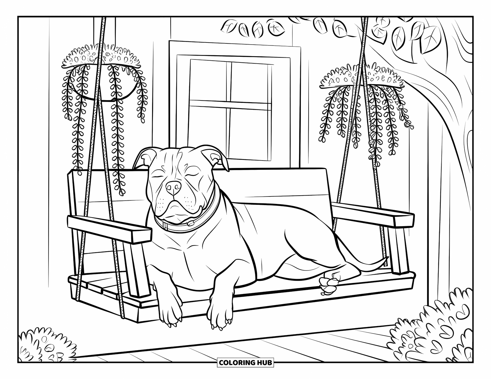 Pitbull Ausmalbild für Erwachsene: Pitbull mit Halsband ruht auf einer Schaukel in der Nähe einer Wand mit Tür und blühenden Pflanzen