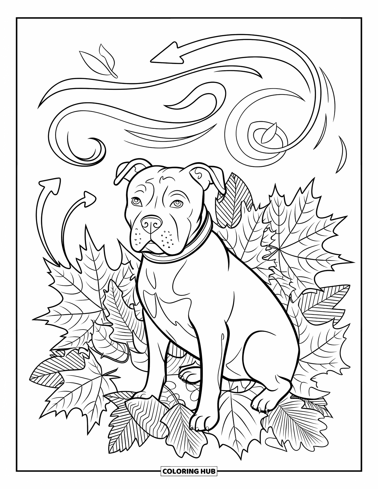 Pitbull Ausmalbild für Erwachsene: Pitbull mit Halsband sitzt in wirbelnden Winden und knackigen, fallenden Blättern