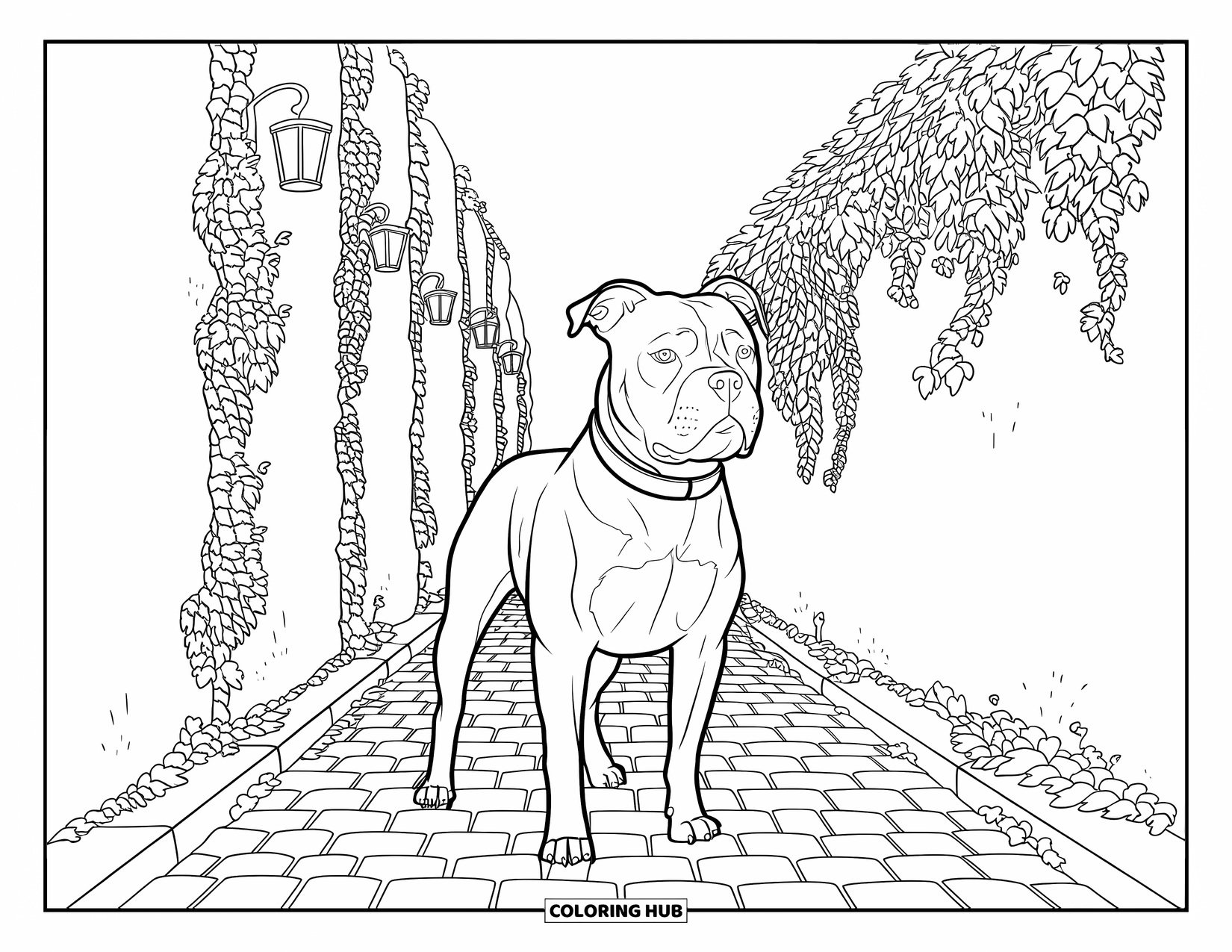 Pitbull Ausmalbild für Erwachsene: Pitbull mit Halsband steht zwischen efeubewachsenen Mauern in einer ruhigen Kopfsteingasse