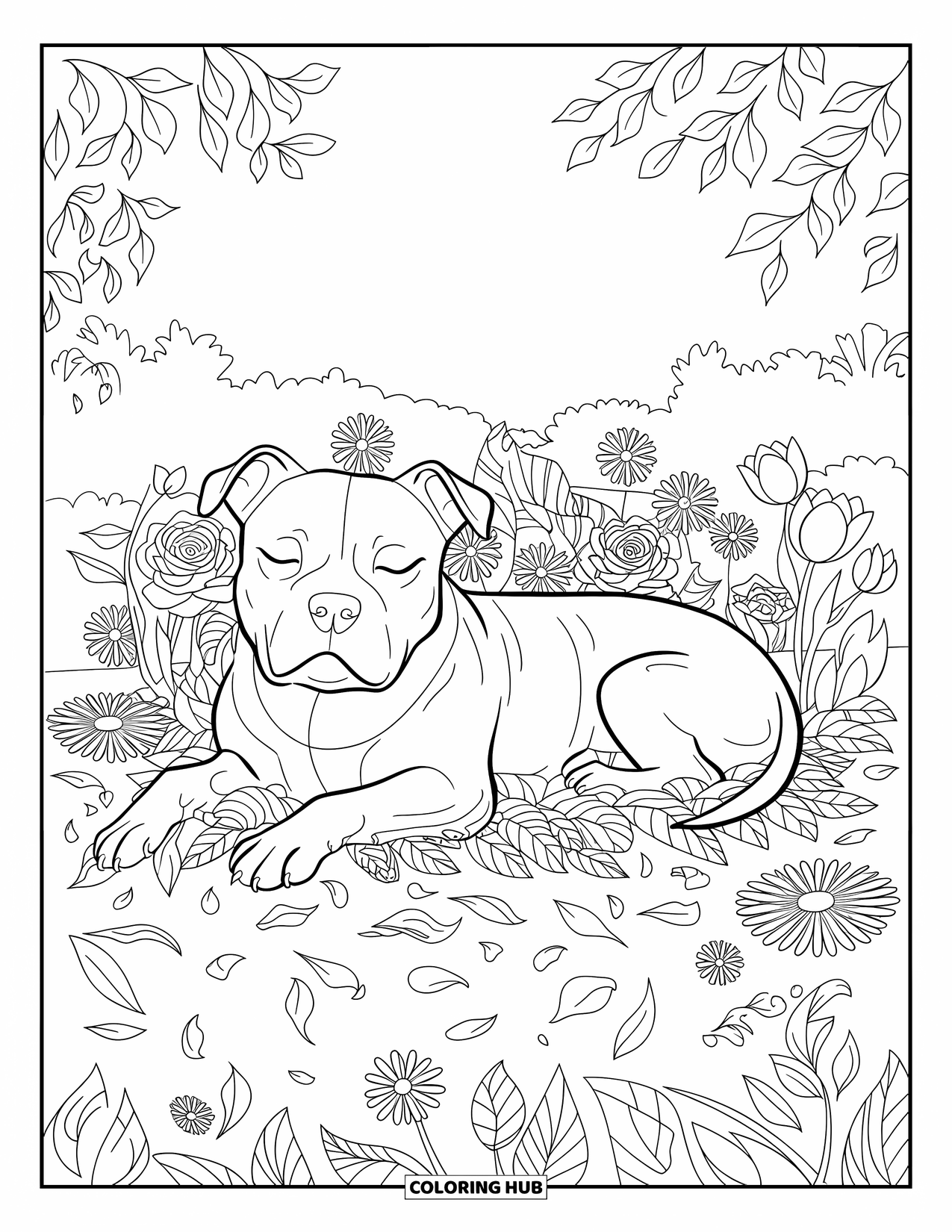 Pitbull Ausmalbild für Erwachsene: Pitbull in einem Blumenfeld mit Tulpen, Gänseblümchen und fallenden Blütenblättern
