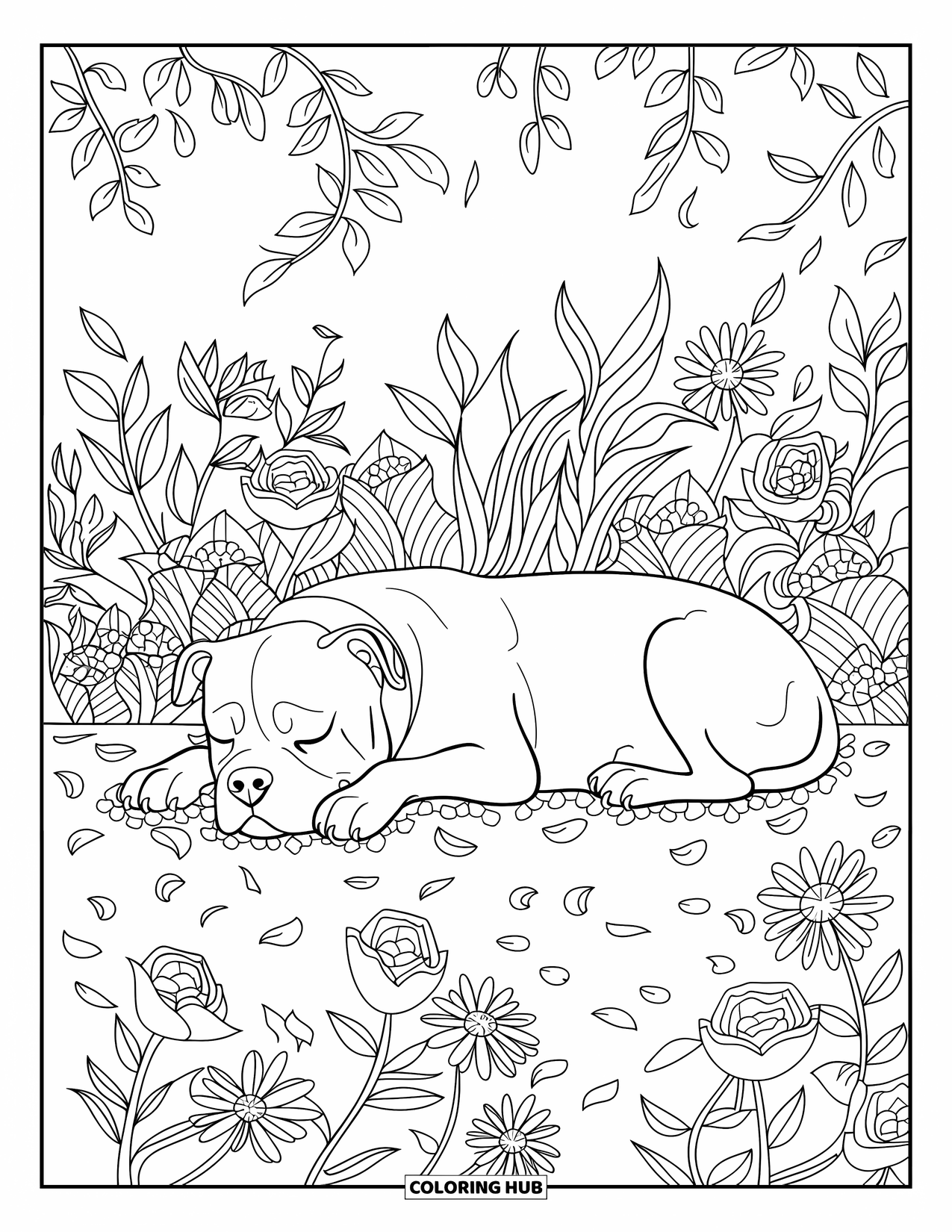 Pitbull Ausmalbild für Erwachsene: Pitbull liegt friedlich im Garten mit Rosen, Lilien und Blättern