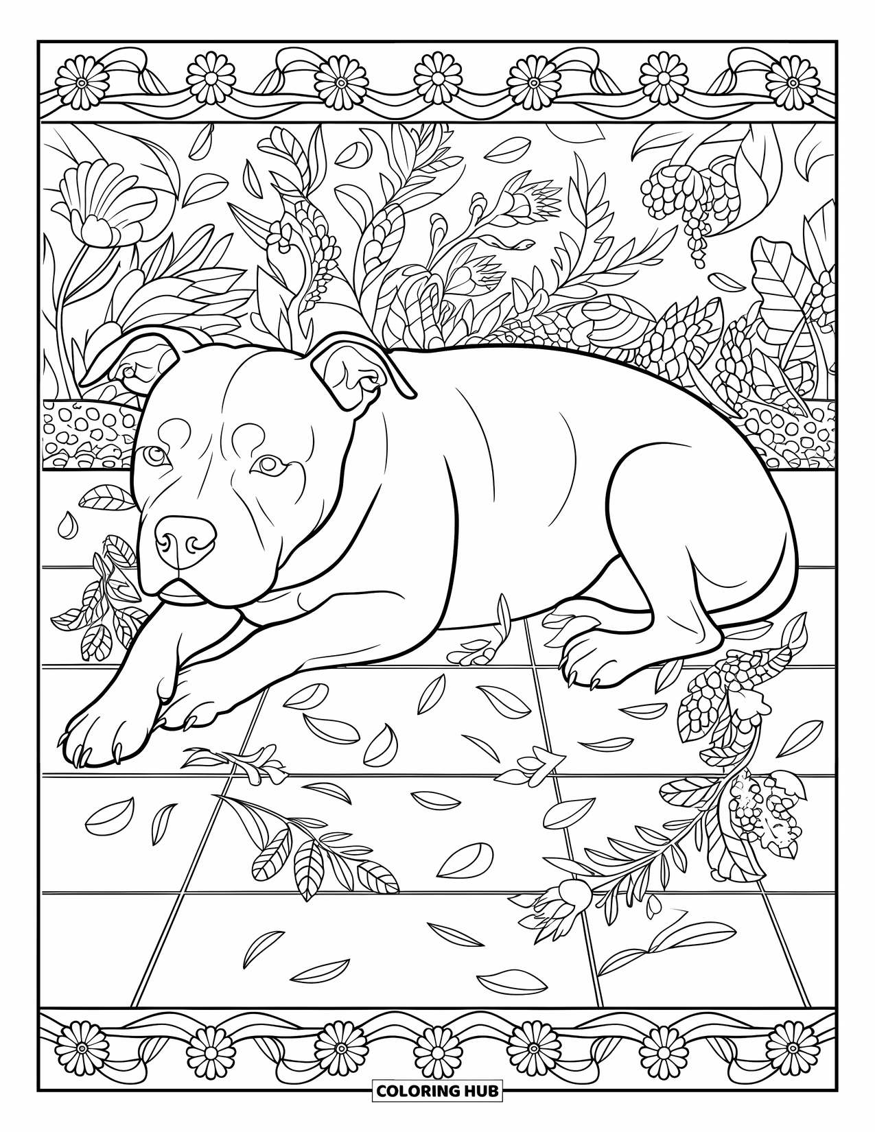 Pitbull Ausmalbild für Erwachsene: Pitbull ruht auf einem Fliesenboden mit verstreuten Blumen- und Blattdetails