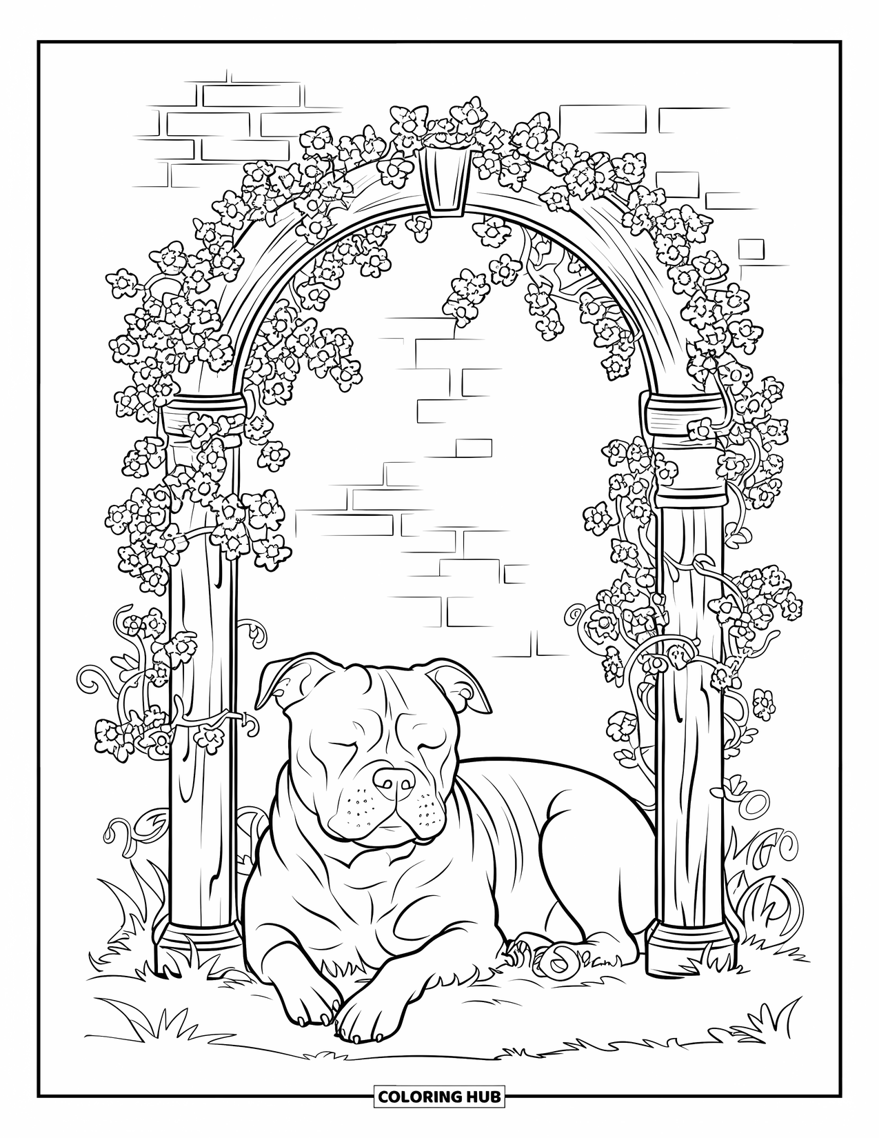 Pitbull Ausmalbild für Erwachsene: Pitbull ruht friedlich unter einem Spalier in einem rustikalen Backsteingarten