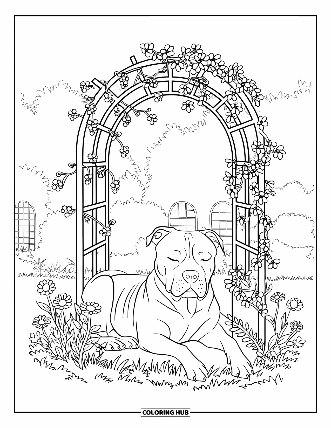 Pitbull Ausmalbild für Erwachsene: Pitbull schläft in einem blumengeschmückten Gartenpavillon, umgeben von Bäumen