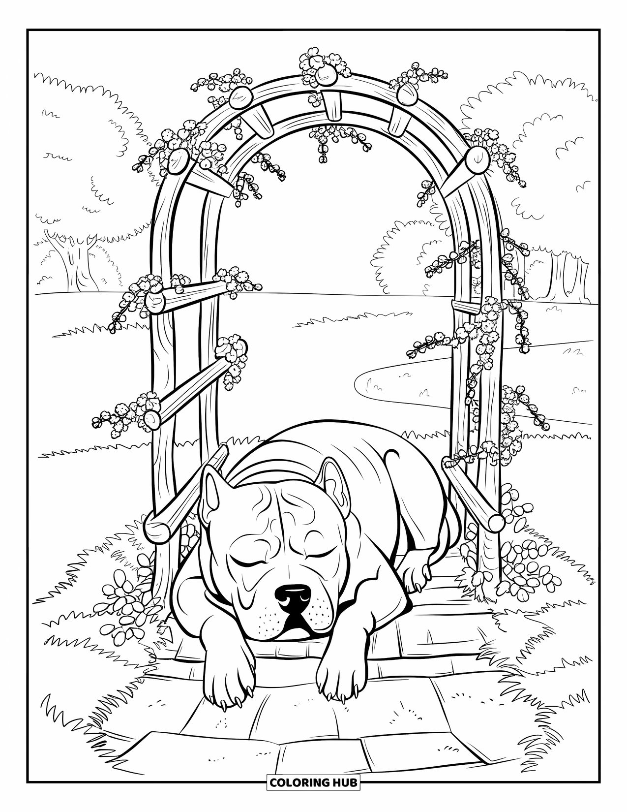 Pitbull Ausmalbild für Erwachsene: Pitbull döst auf einem Steinpfad unter einem blumenbedeckten Holzbogen