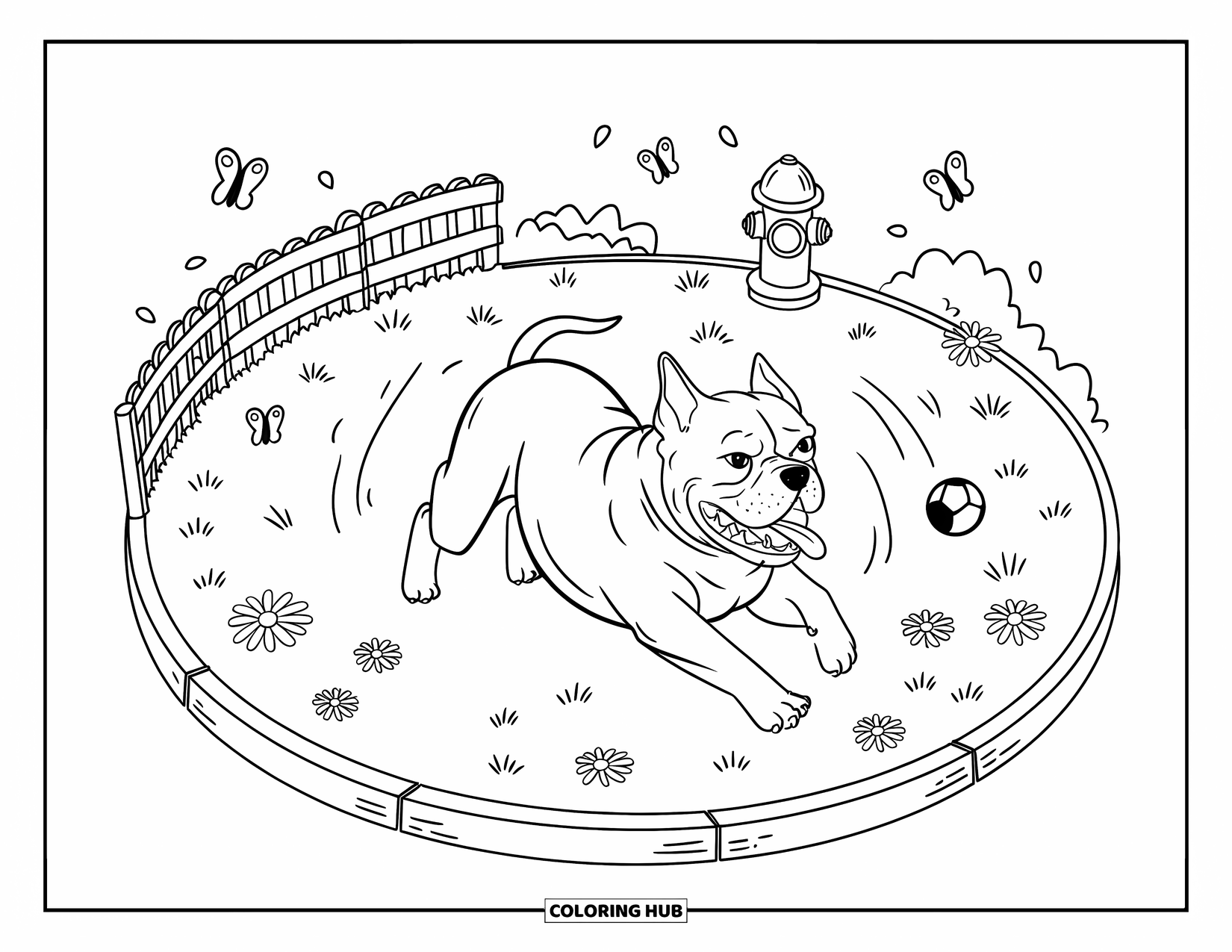 Pitbull Ausmalbild für Erwachsene: Pitbull dreht sich glücklich in einem winzigen Park mit Schmetterlingen und geschwungenen Linien