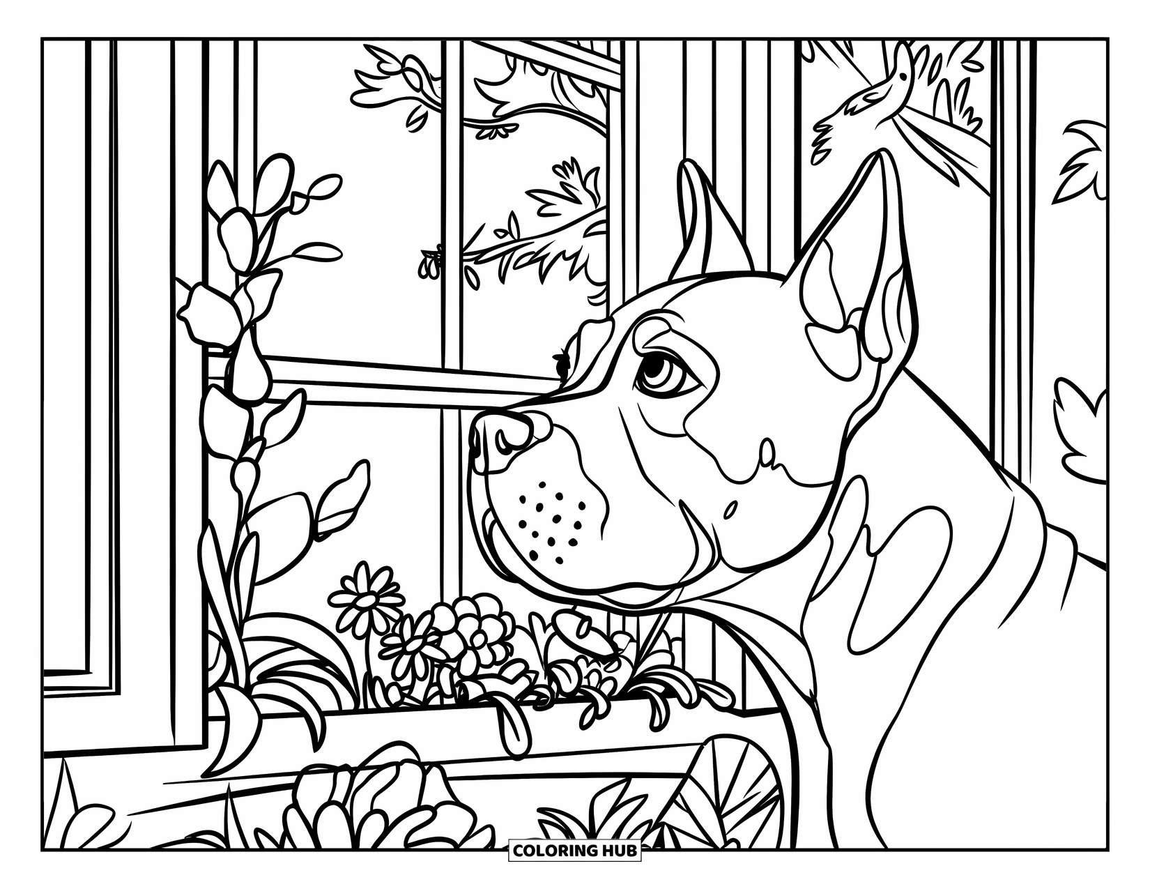 Pitbull Ausmalbild für Kinder: Pitbull blickt aus einem Fenster, das mit Blumen und belaubten Pflanzen geschmückt ist
