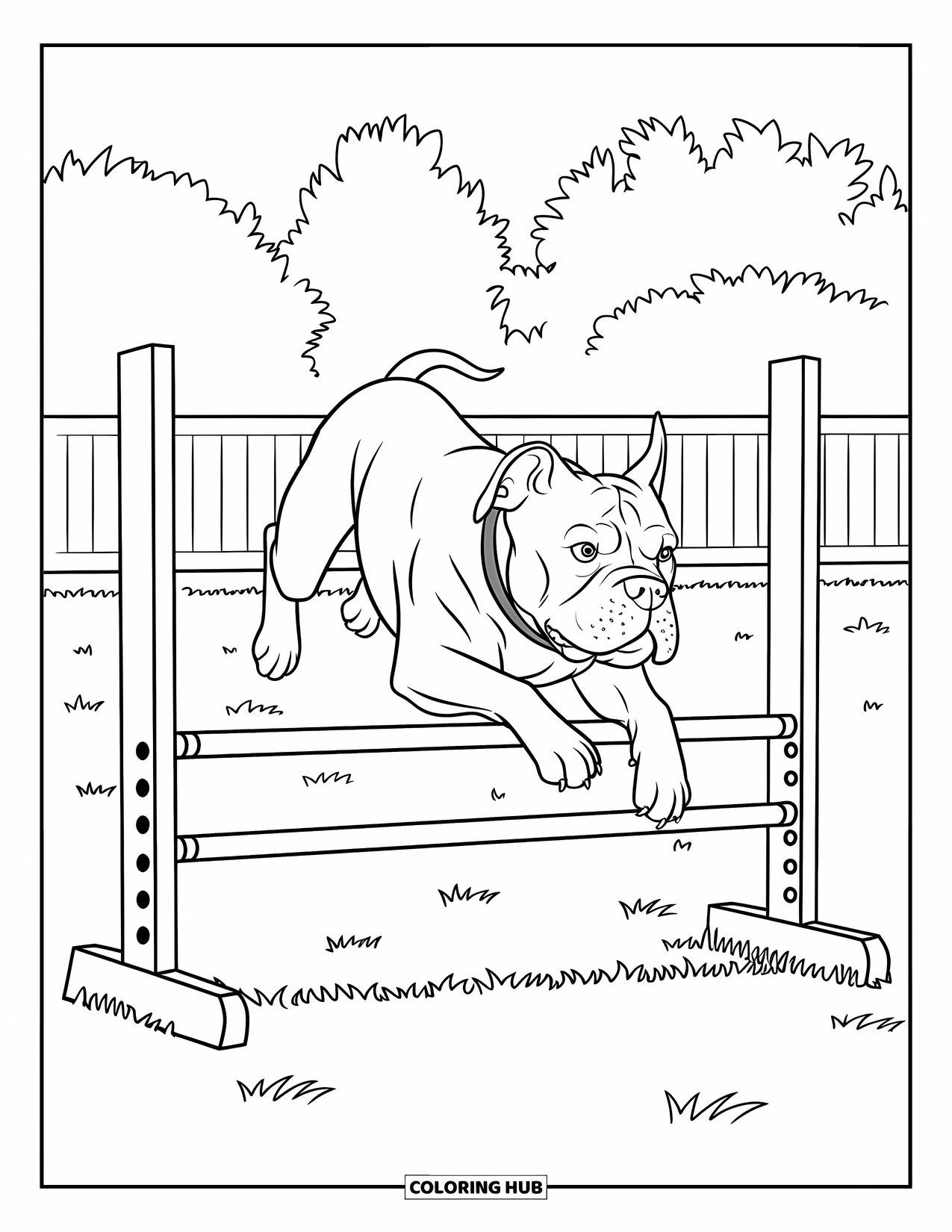Pitbull Ausmalbild für Kinder: Pitbull springt in einem Geschirr mit Bäumen im Hintergrund über eine Agility-Hürde