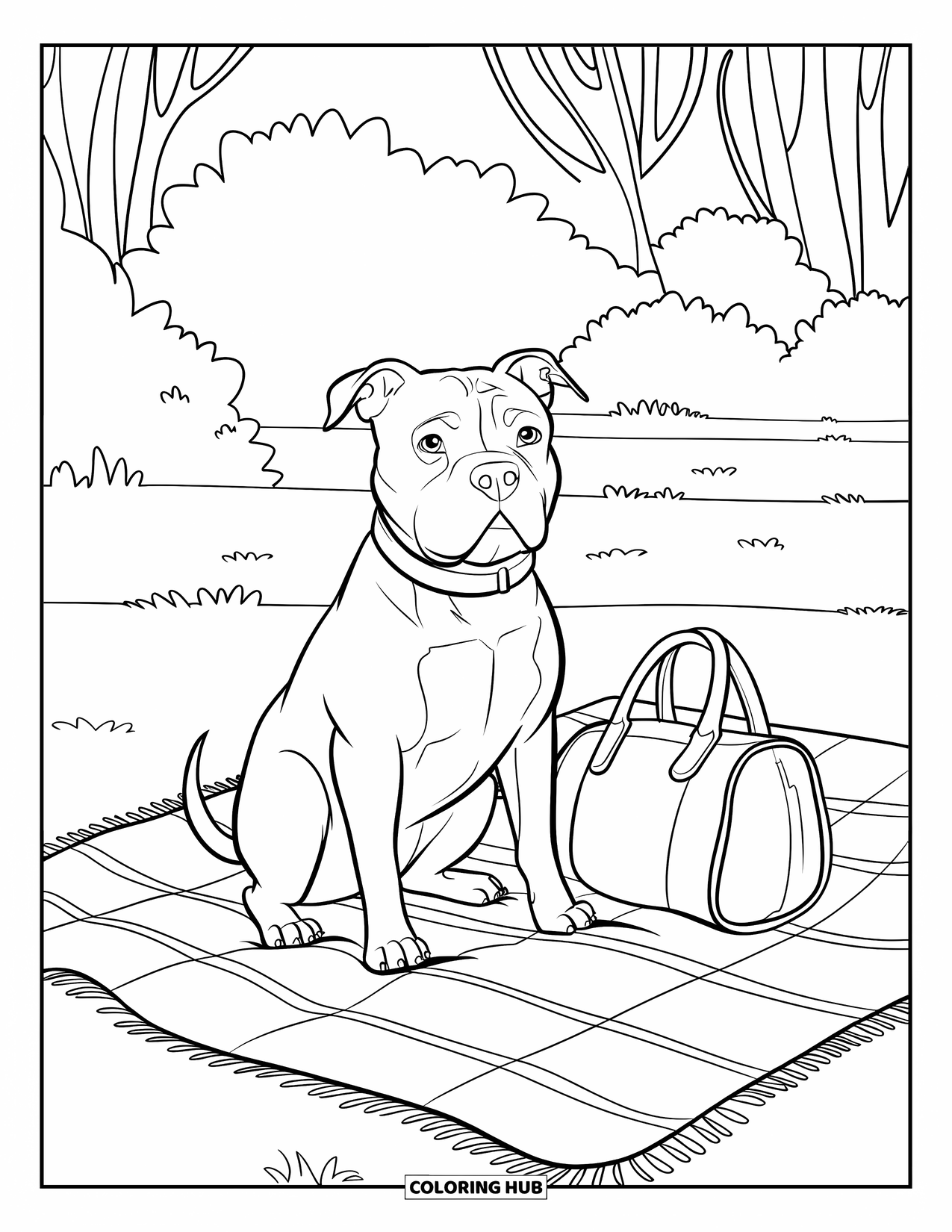 Pitbull Ausmalbild für Kinder: Pitbull genießt auf einer karierten Decke ein friedliches Parkpicknick