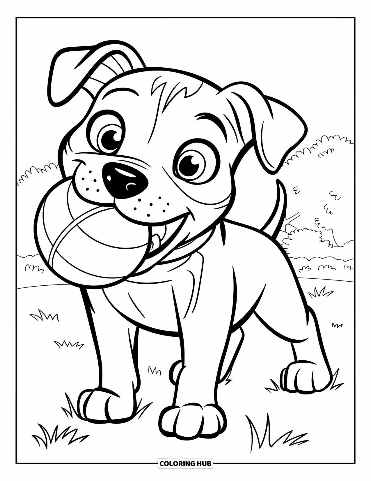 Pitbull Ausmalbild für Kinder: Pitbull-Welpe hält einen Ball im Maul, während er auf dem Gras steht