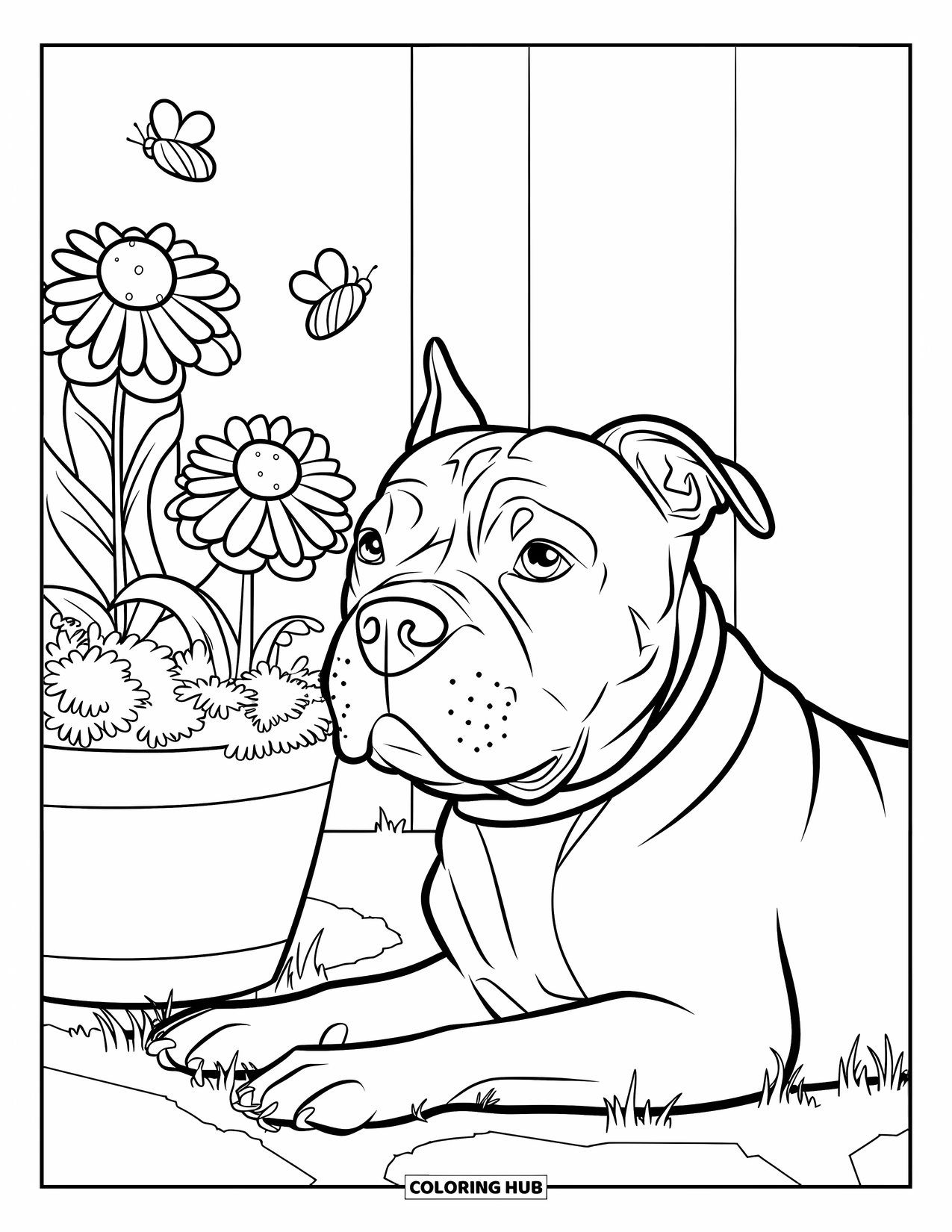 Pitbull Ausmalbild für Kinder: Pitbull entspannt sich an einem Blumentopf mit Bienen und Schmetterlingen in der Nähe