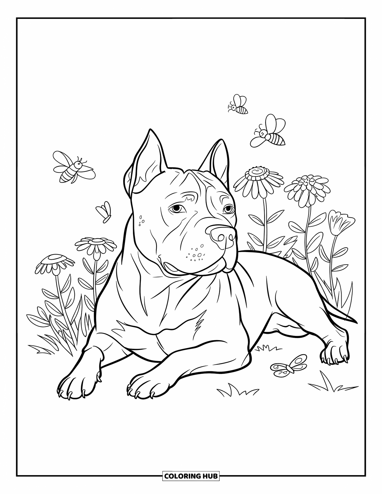 Pitbull Ausmalbild für Kinder: Pitbull ruht in der Nähe eines Blumenbeets mit Schmetterlingen und summenden Bienen