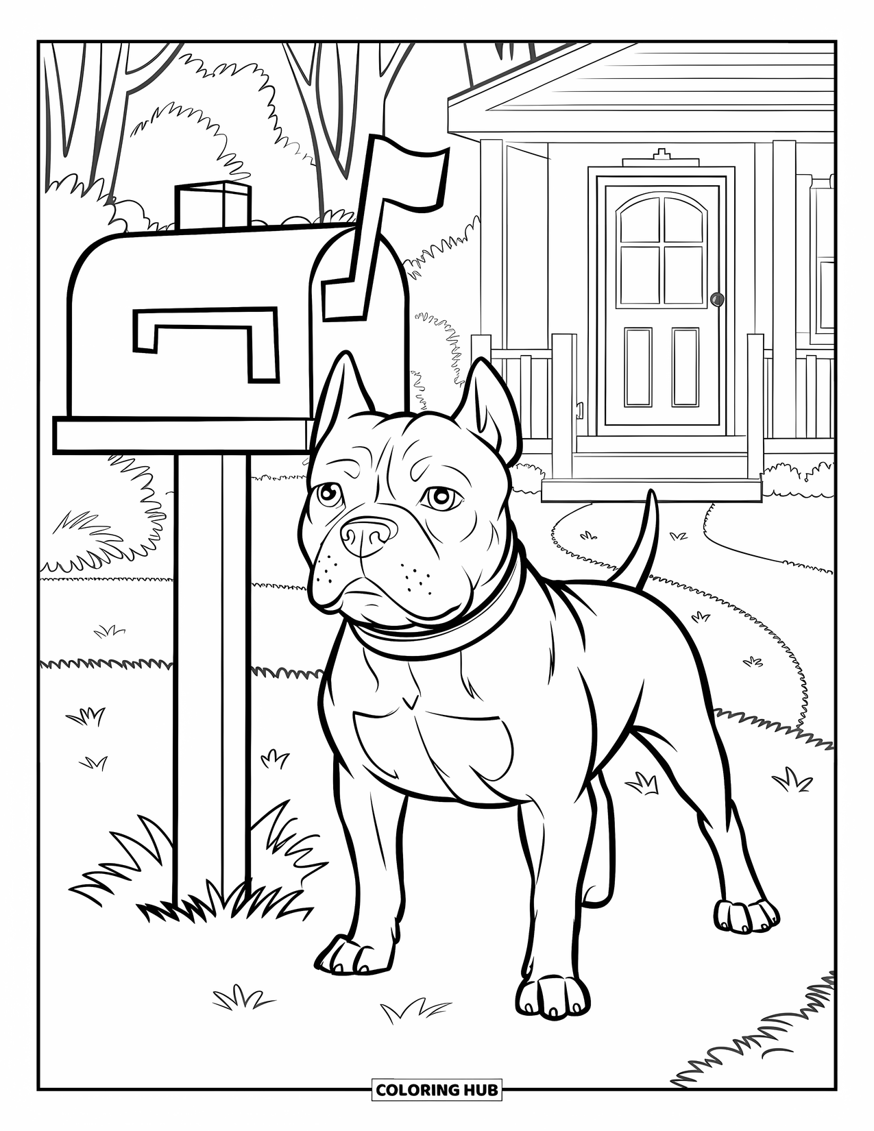 Pitbull Ausmalbild für Kinder: Pitbull steht aufmerksam neben einem roten Briefkasten vor einem gemütlichen Haus