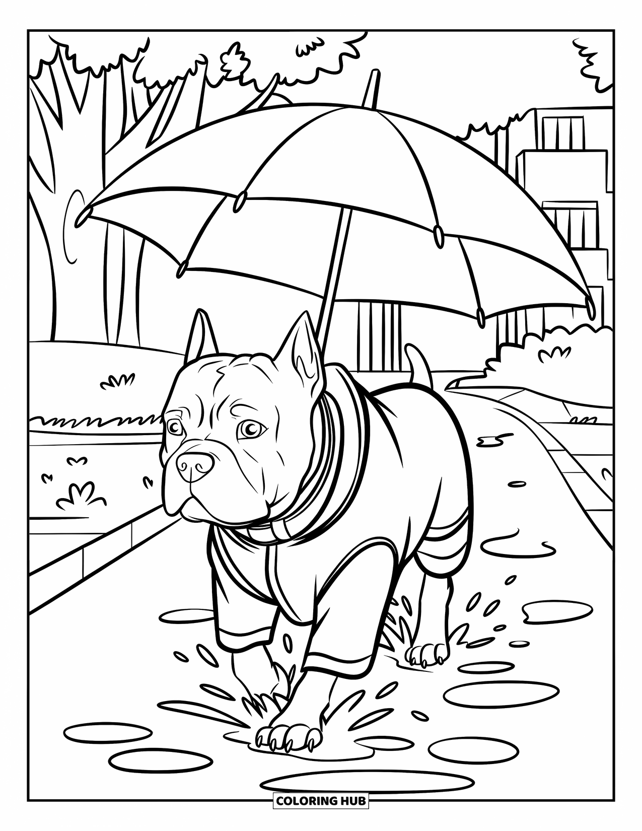 Pitbull Ausmalbild für Kinder: Pitbull schlendert in einem Mantel durch Pfützen mit Bäumen und Gebäuden herum