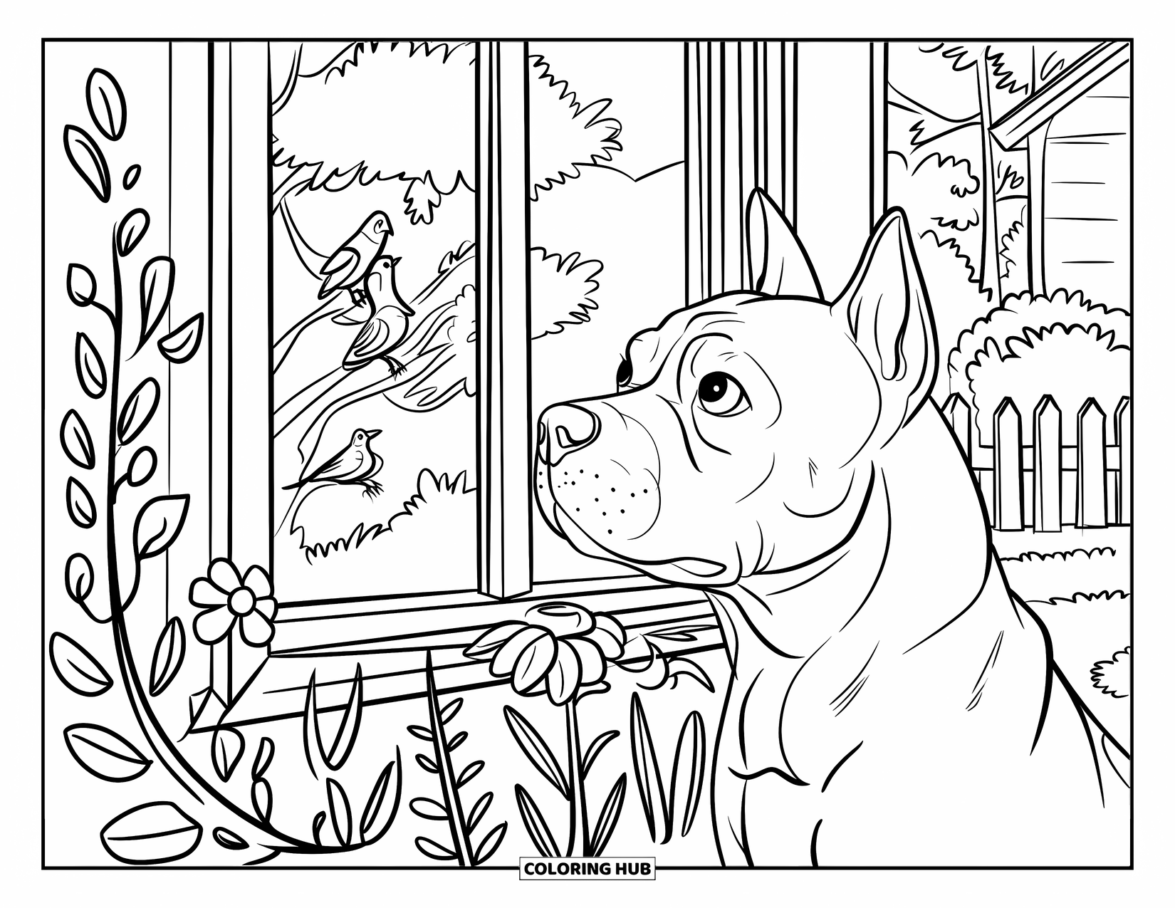 Pitbull Ausmalbild für Kinder: Pitbull beobachtet Vögel durch ein mit Blumen gefülltes Fenster von einem Haus aus