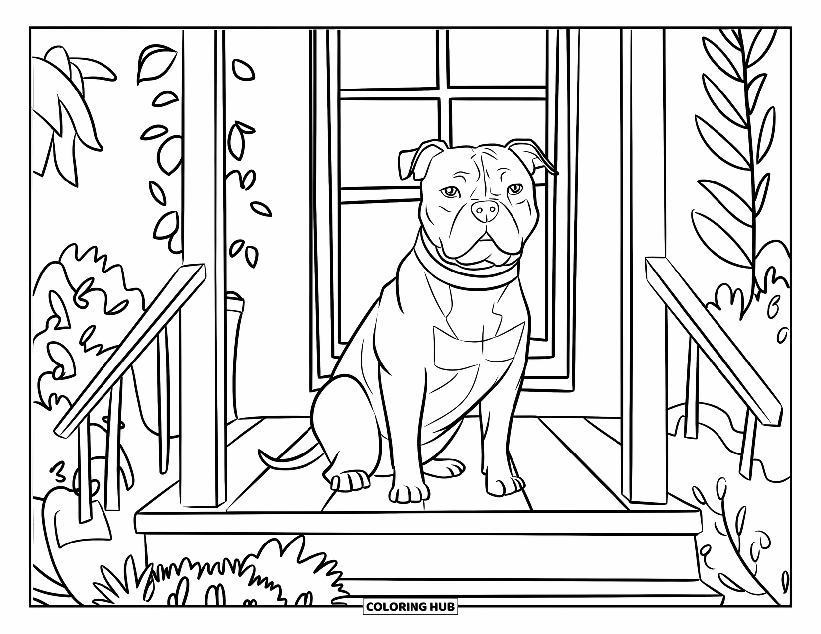 Pitbull Ausmalbild für Kinder: Pitbull mit einem Halsband sitzt auf einer Veranda neben belaubten Pflanzen