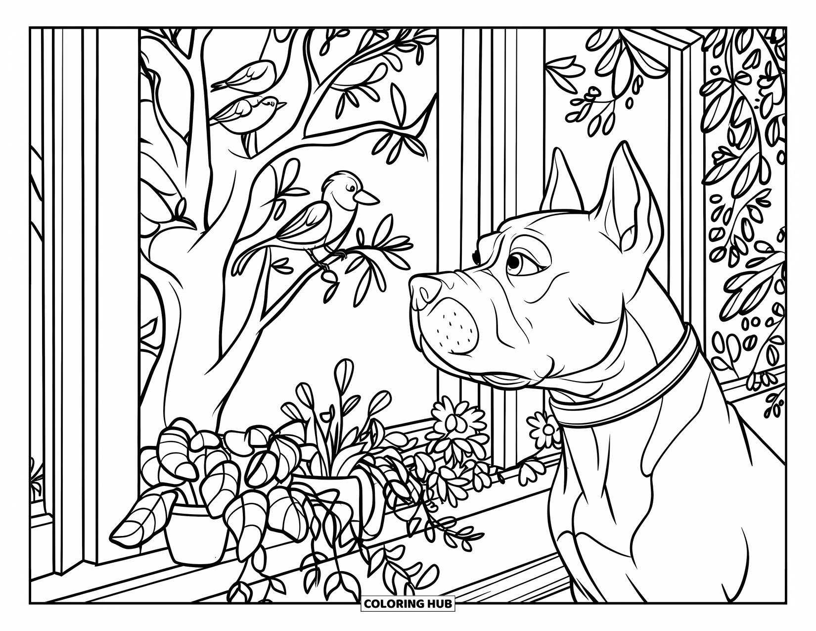 Pitbull Ausmalbild für Kinder: Pitbull mit einem Halsband steht auf einem Holzboden und beobachtet Vögel draußen
