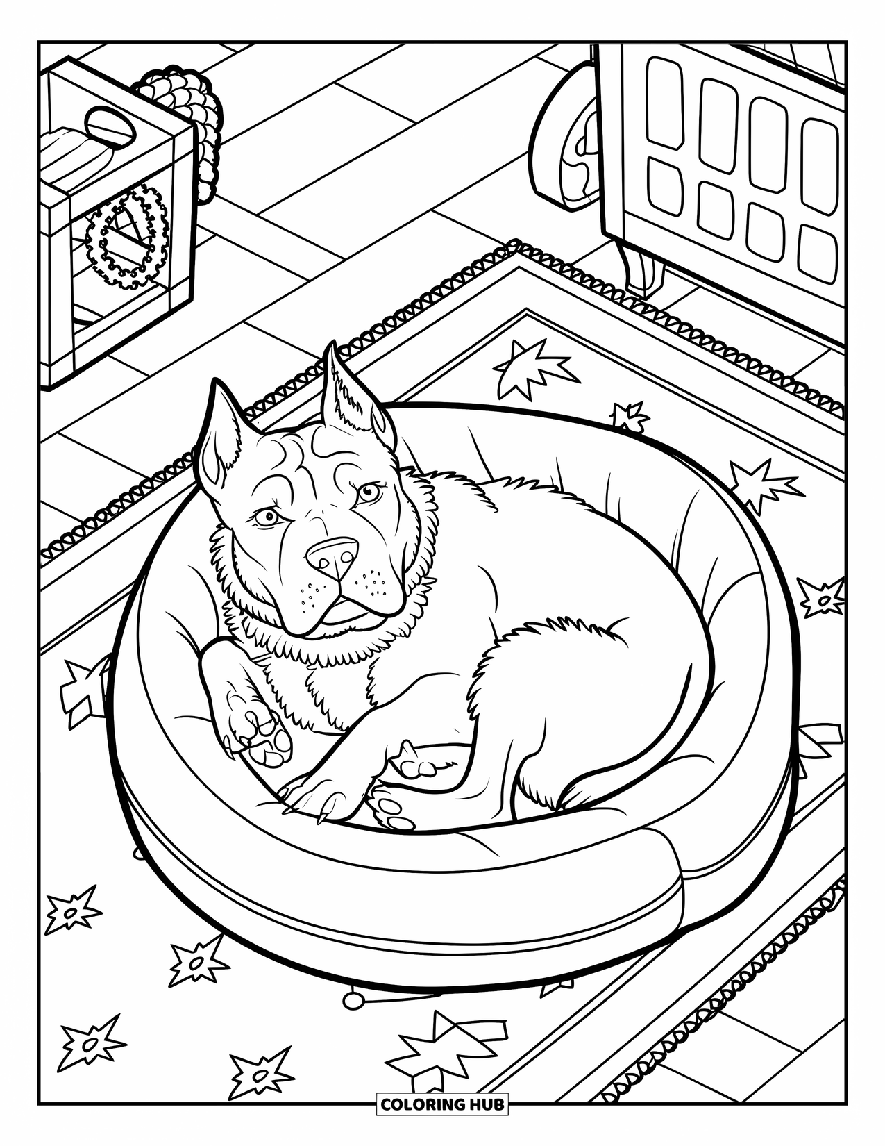 Pitbull Ausmalbild für Kinder: Pitbull mit einem roten Halsband kuschelt in einem Bett neben Spielzeug und einer Kiste