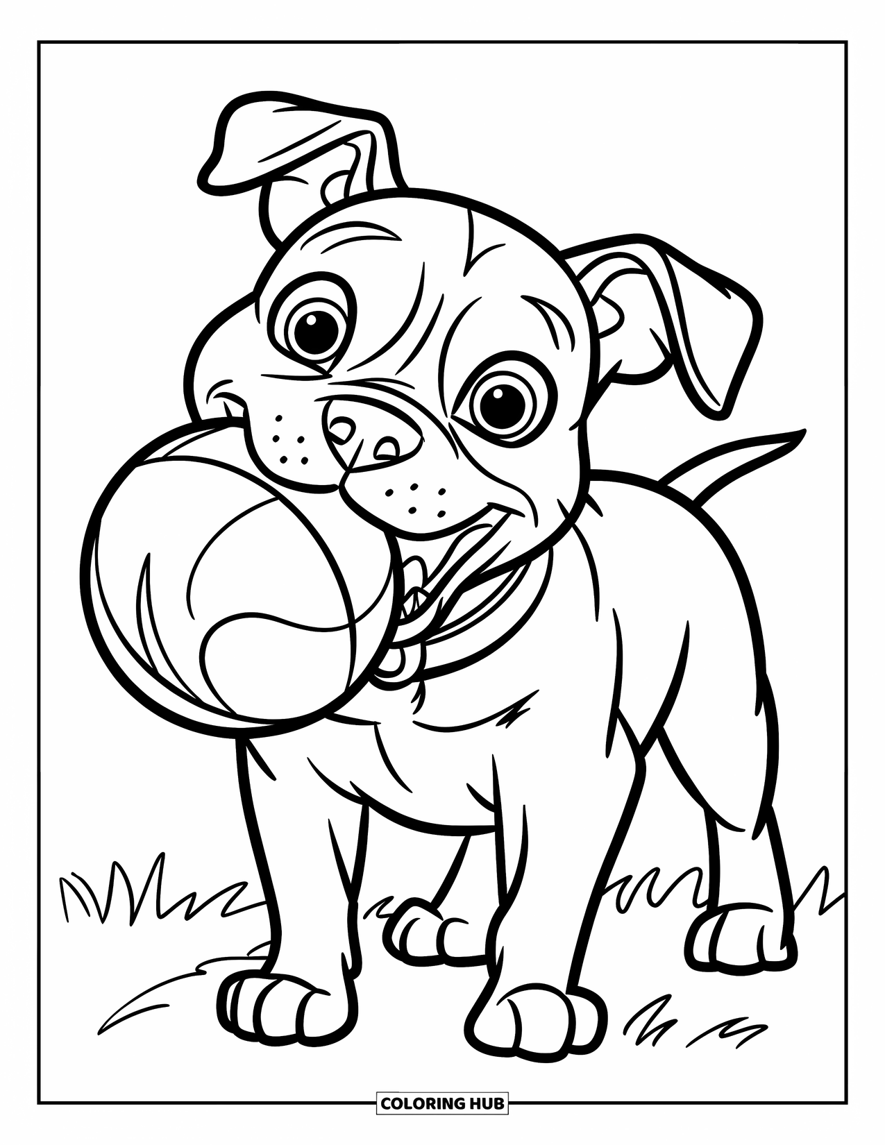 Pitbull Ausmalbild für Kinder: Pitbull mit leuchtenden Augen lächelt, während er einen Ball auf einem leeren Feld hält